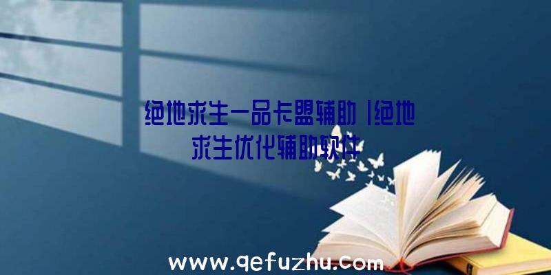 「绝地求生一品卡盟辅助」|绝地求生优化辅助软件